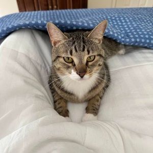 Meet your Posher, Barbara